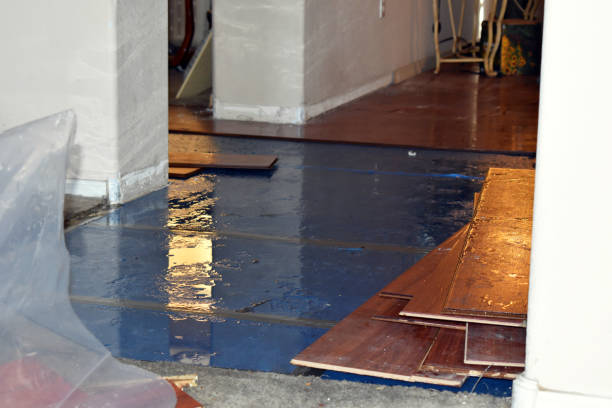 Professional Burst Pipe Cleanup technician working in Black Earth, WI